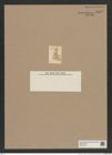 Pyxidicula spec.? (de-Toni-Nr.: Genus 188) Zeichnungen Sammlung Grunow Nr. 8332 (NHMW-BOT-W0377734)